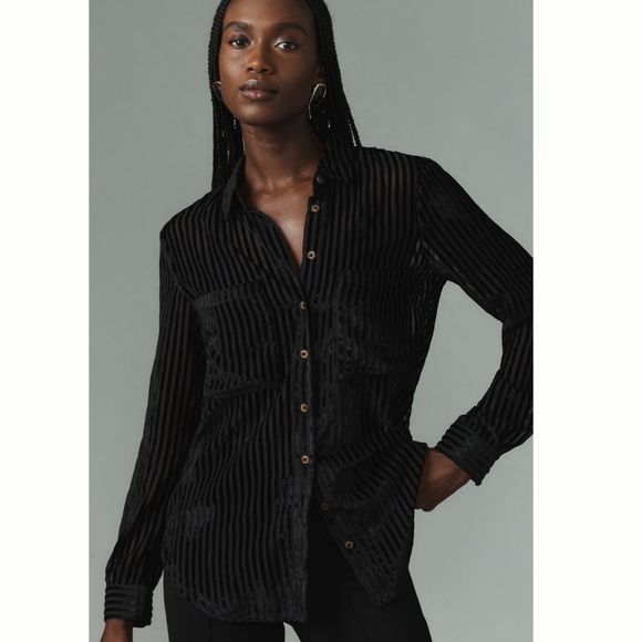 NWT Anthropologie Pilcro Velvet Burnout Long Sleeve Buttondown Blouse 2X - Picture 3 of 13